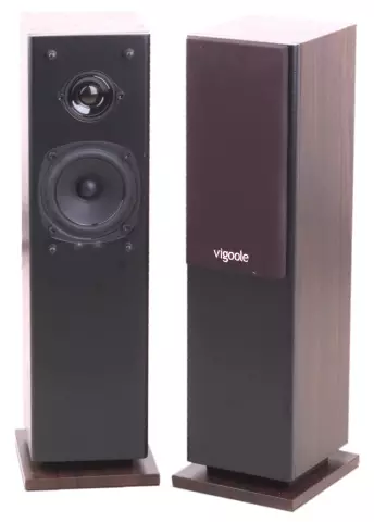 ТОНКОЛОНИ VIGOOLE E2002 (2.0) + AMPLIFIER